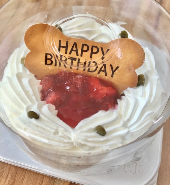 愛犬用お誕生日ケーキ 店長natsuブログ 店長natsu君のつぶやきワールド ワンsmile