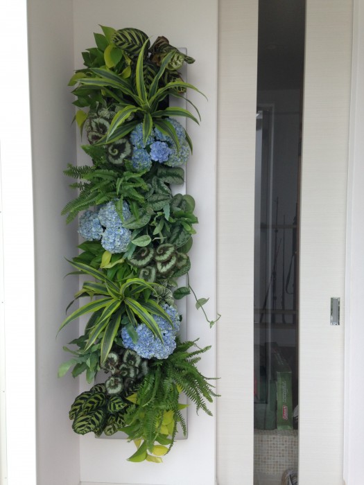 観葉植物を使った屋内壁面緑化 ガーデンコンシェルジュ 外構工事 エクステリア お庭リフォームのガーデンコンシェルジュ